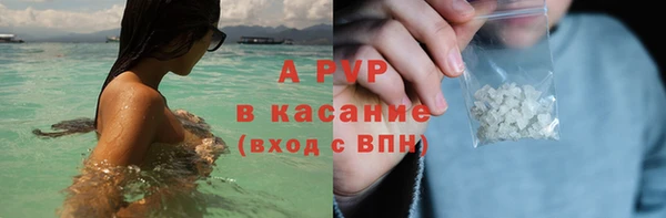 шишки Алексин
