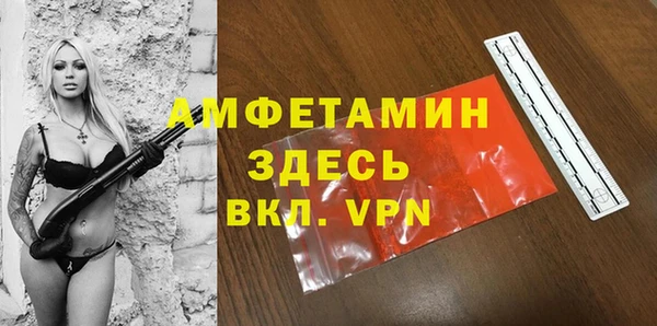 шишки Алексин