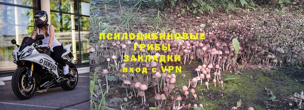 шишки Алексин