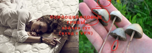 шишки Алексин